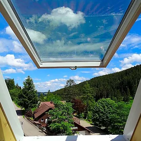 Schwarzwald-hotel Kraeutle Szálloda Hinterzarten