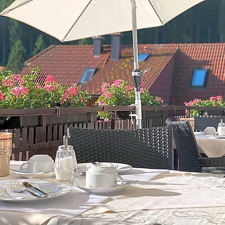 Schwarzwald-hotel Kraeutle Hinterzarten