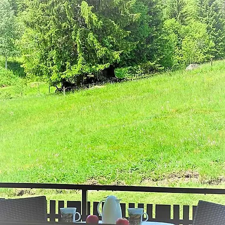 Schwarzwald-hotel Kraeutle 3* Hinterzarten