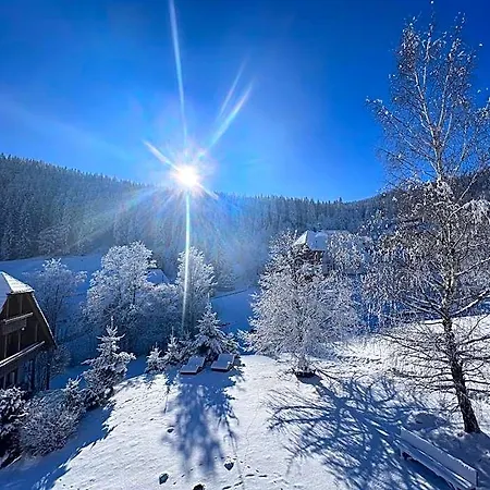 Schwarzwald-hotel Kraeutle Szálloda Hinterzarten
