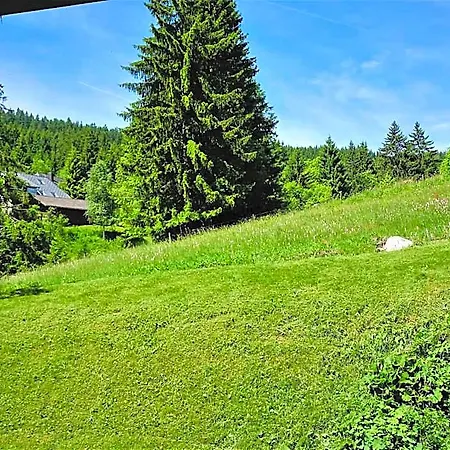 Schwarzwald-hotel Kraeutle 3* Hinterzarten