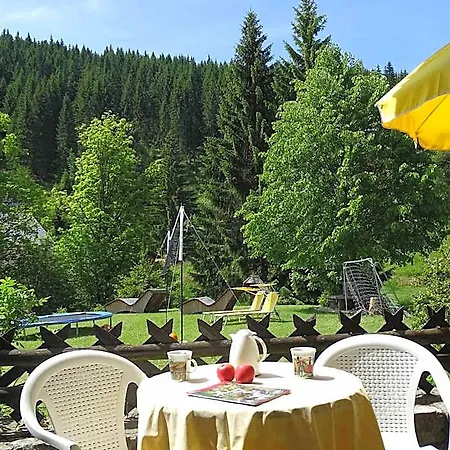 Schwarzwald-hotel Kraeutle 3* Hinterzarten