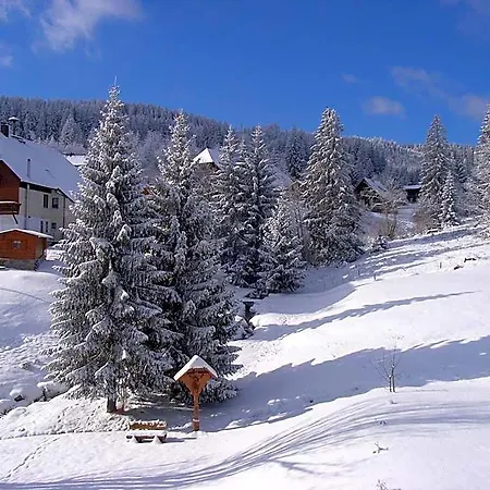 Schwarzwald-hotel Kraeutle 3*