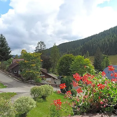Schwarzwald-hotel Kraeutle